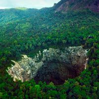 Cave Of Swallows