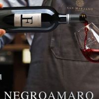 Rượu vang đỏ Negroamaro