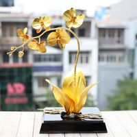 Một chậu hoa lan hồ điệp mang đến vẻ đẹp kiêu sa, quý phái. Với những người Mẹ thích sưu tập hoa, những món quà này sẽ theo mãi bên mẹ bởi tuổi thọ của “những cành vàng” này là trường tồn và vĩnh cửu.