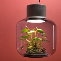 Mygdal Plantlights, giải pháp trồng cây trong đèn chiếu sáng có giá cả trăm triệu - Ảnh 1