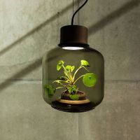 Mygdal Plantlights, giải pháp trồng cây trong đèn chiếu sáng có giá cả trăm triệu - Ảnh 9