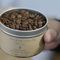 Có gì đặc biệt ở tách cà phê đắt nhất thế giới - 3