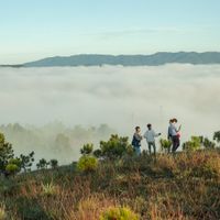 Ngắm biển mây bềnh bồng trên “thánh địa săn mây” Đà Lạt - 1