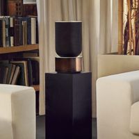 Dòng loa cao cấp Beolab 90 Berluti Edition