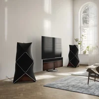 Dòng loa cao cấp Beovision Harmony Berluti Edition