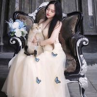 Ảnh trong bài