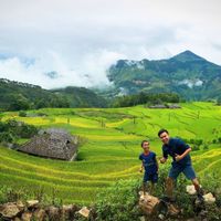 Khoai lang thang