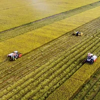 Vẻ đẹp bốn mùa ở miền sông nước Long An - 7
