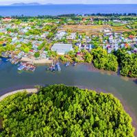 Khu Dự trữ sinh quyển rừng ngập mặn Cần Giờ - “Lá phổi xanh” của TP.HCM - 6