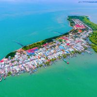 Khu Dự trữ sinh quyển rừng ngập mặn Cần Giờ - “Lá phổi xanh” của TP.HCM - 7