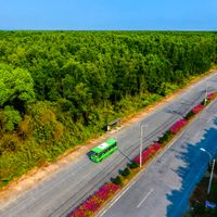Khu Dự trữ sinh quyển rừng ngập mặn Cần Giờ - “Lá phổi xanh” của TP.HCM - 8