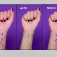 Tĩnh mạch màu xanh da trời – tím, tức da bạn thuộc Cool Undertone (tông lạnh).
