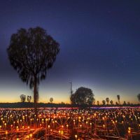 Cánh đồng ánh sáng huyền ảo tại California - 3