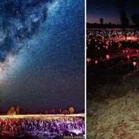 Cánh đồng ánh sáng huyền ảo tại California - 5