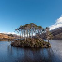 Lạc vào thế giới phép thuật Harry Potter ở xứ sở Scotland (phần 2) - 4