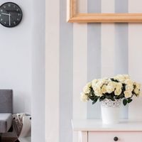 9 cách F5 nhà cửa sang xịn nhưng lại cực tiết kiệm, ai cũng có thể làm ngon ơ - Ảnh 1.