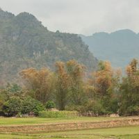 Đến Mai Châu hòa mình vào thiên nhiên núi rừng tĩnh lặng - 1