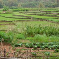 Đến Mai Châu hòa mình vào thiên nhiên núi rừng tĩnh lặng - 3