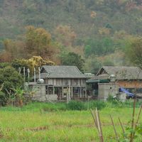 Đến Mai Châu hòa mình vào thiên nhiên núi rừng tĩnh lặng - 4