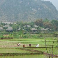 Đến Mai Châu hòa mình vào thiên nhiên núi rừng tĩnh lặng - 7