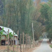 Đến Mai Châu hòa mình vào thiên nhiên núi rừng tĩnh lặng - 8