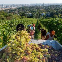 Thủ đô Vienna -