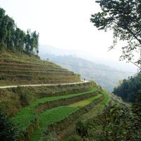 Hoàng Su Phì và mùa lúa chưa gieo - 9