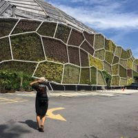 Penang: Điểm du lịch hè 