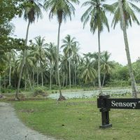 Đến Pulau Ubin “xem lại” những hình ảnh, thước phim của “ngày hôm qua”