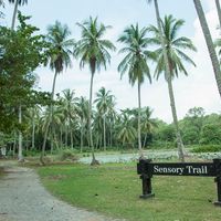 Đến Pulau Ubin “xem lại” những hình ảnh, thước phim của “ngày hôm qua” - 8
