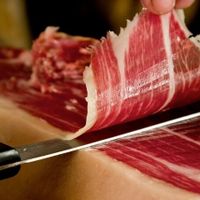 Khám phá ẩm thực truyền thống của Tây Ban Nha - 7