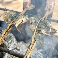 Đặc sản Pa Pỉnh Tộp - “cá nướng gập nguyên con” của núi rừng Tây Bắc-4