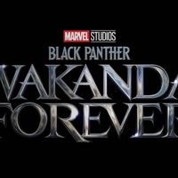 ‘Black Panther: Wakanda Forever’ sẽ quay trở lại vào năm 2022