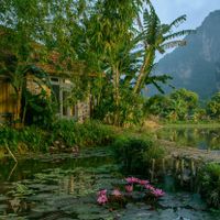 Tam Coc Garden - Khách sạn đẹp như tranh được TripAdvisor vinh danh - 3