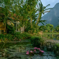 Tam Coc Garden - Khách sạn đẹp như tranh được TripAdvisor vinh danh - 3
