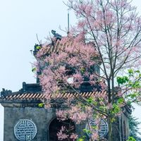 Huế