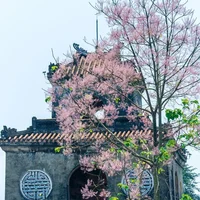 Huế
