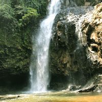 Đào Nguyên Cốc