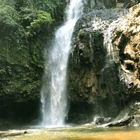 Đào Nguyên Cốc