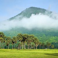 Bảy Núi An Giang - Xứ sở thốt nốt làm say lòng lữ khách - 7