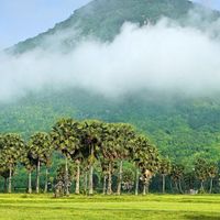 Bảy Núi An Giang - Xứ sở thốt nốt làm say lòng lữ khách