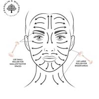 Hướng dẫn sử dụng thanh lăn mặt face roller
