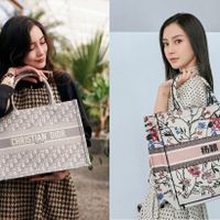 Có nên đầu tư cho chiếc túi xách Dior Book Tote đắt đỏ?