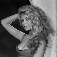 Brigitte Bardot - là một nữ minh tinh nổi tiếng của Pháp