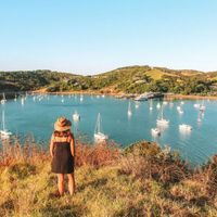 ĐẢO WAIHEKE, NEW ZEALAND
