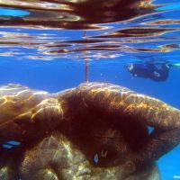 Ocean Atlas, Nassau, Bahamas