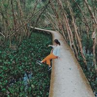 5 rừng tràm đẹp nhất miền Tây - 7