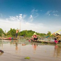 5 rừng tràm đẹp nhất miền Tây - 9