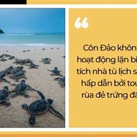 Mấy ai biết tên gọi Côn Đảo có nguồn gốc từ nước ngoài với ý nghĩa khá lạ - 5