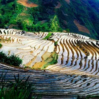 12 cảnh sắc tuyệt đẹp ở Việt Nam không nên bỏ lỡ sau dịch Covid-19 - 6